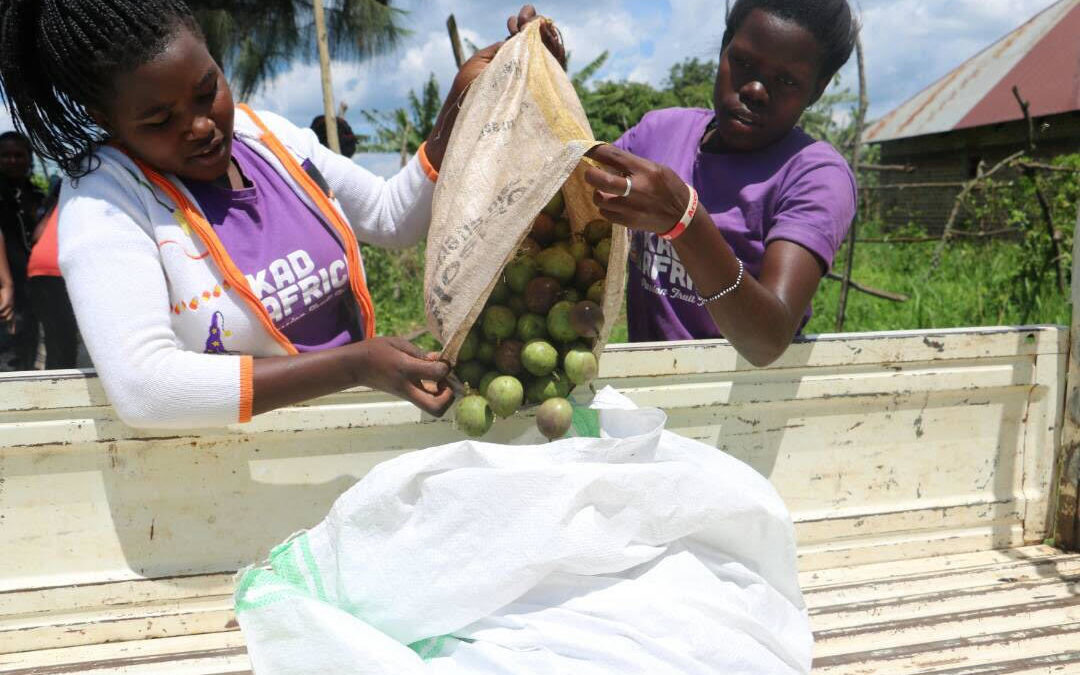 KadAfrica: Empowering Girls Through Passion Fruit