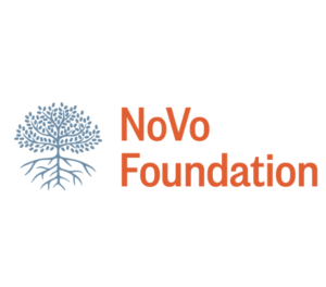 foundation novo logo skees